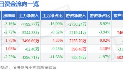 股票行情快报：海南发展（002163）3月19日主力资金净卖出7799.77万元