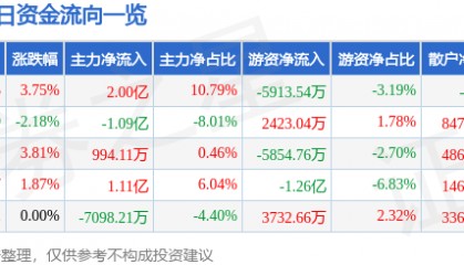 股票行情快报:兴森科技(002436)7月21日主力资金净买入2.00亿元