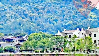 仰望天心照吉辰， 沾濡地脉又逢春——十三首（副）诗联以记《千年百侯　人文之乡》一书付梓