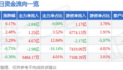 股票行情快报:兴森科技(002436)8月25日主力资金净卖出2.84亿元