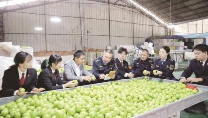 福建云霄：党建引领 金融兴链