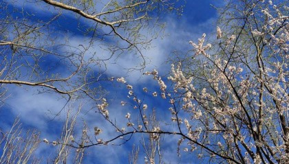 张明 | 美国经济金融下行风险加大