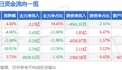 股票行情快报:兴森科技(002436)9月5日主力资金净买入2.23亿元