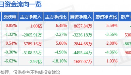 股票行情快报：海南发展（002163）1月30日主力资金净买入1.00亿元