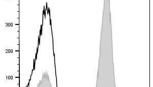 T细胞研究必备！Elabscience FITC-CD3抗体[OKT3]——流式数据更稳，重复性更高！