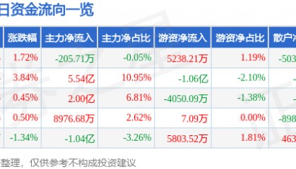 股票行情快报:兴森科技(002436)9月19日主力资金净卖出205.71万元