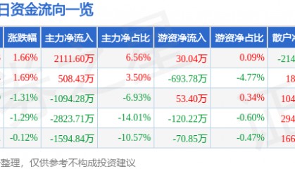 股票行情快报:天龙集团(300063)7月25日主力资金净买入2111.60万元