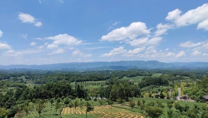 邮储银行遵义市分行：普惠金融 助企追梦