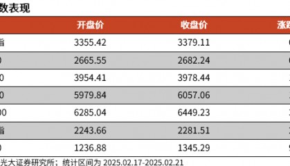 【光大金工】短线小盘成长仍占优——金融工程市场跟踪周报20250222