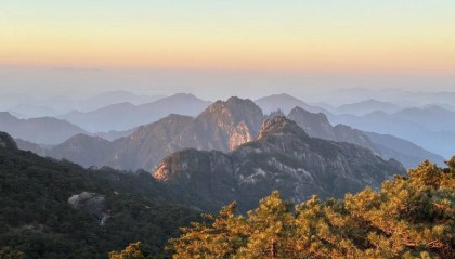 山脉隆起如何影响生物多样性变化