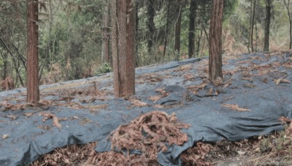 七星关区盘活闲置资源资产1600余处