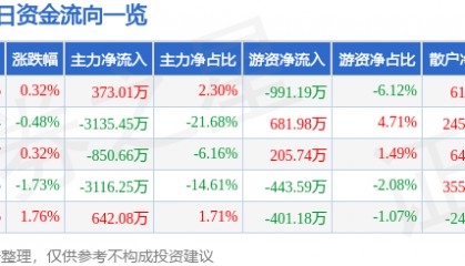 股票行情快报:大众交通(600611)8月13日主力资金净买入373.01万元