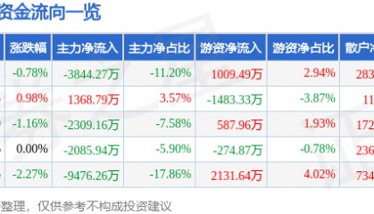 股票行情快报：步步高（002251）1月30日主力资金净卖出3844.27万元