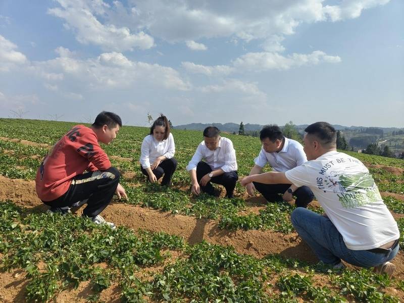 工商银行凯里分行：以金融之力 为发展赋能