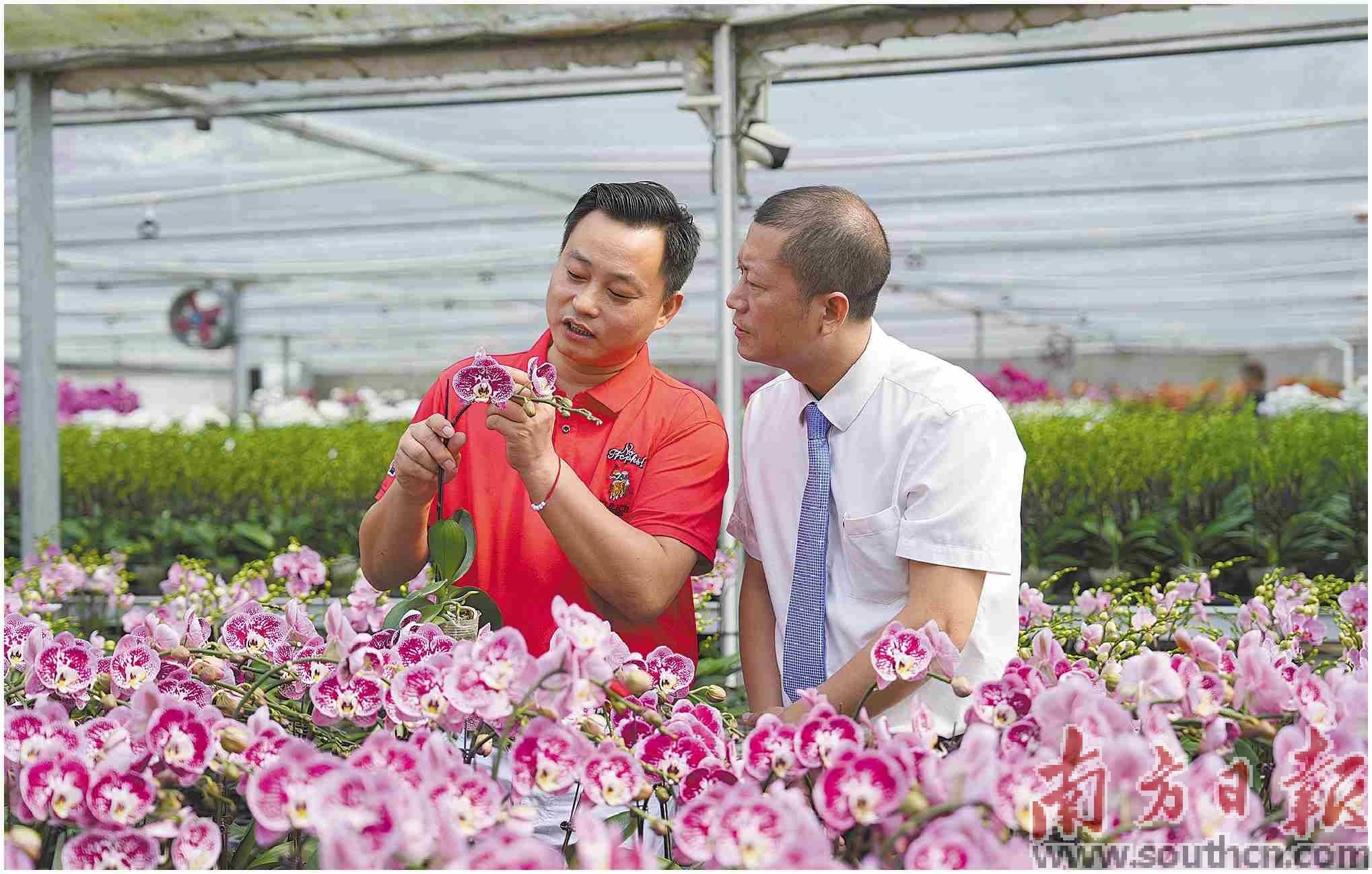 金融活水助力实体经济枝繁叶茂