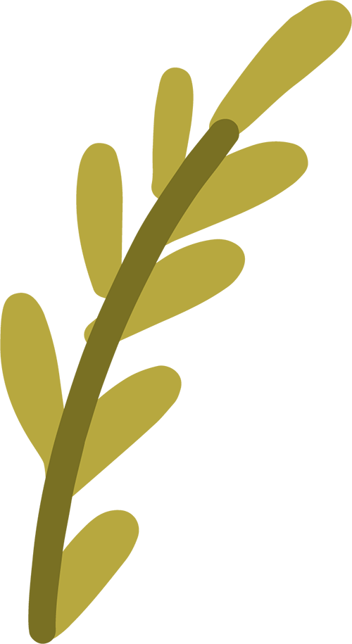 【保护秦岭大家园 维护生物多样性】关注秦岭野生动植物
