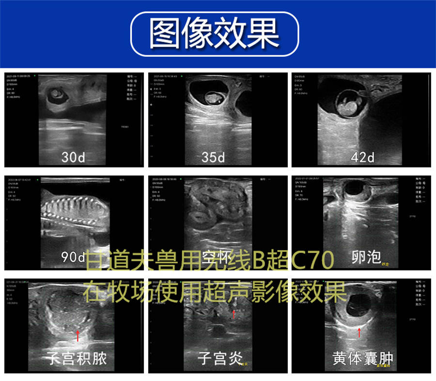 2025招标采购兽用无线B超价格牛羊用B超厂家新报价大全