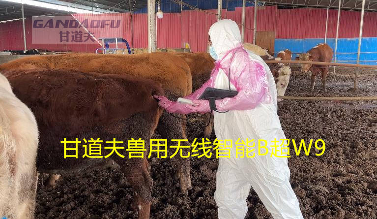 2025招标采购兽用无线B超价格牛羊用B超厂家新报价大全